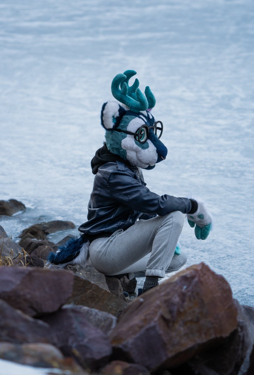 New year, new deer, part of my photoshoot with <a href="/BlueBleatz/">Axel</a> from yesterday! 

#furrycommunity #furryartwork #furryfandom #photography