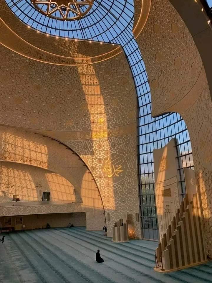 وَلَن تَجِدَ مِن دُونِهِ مُلْتَحَدًا.

-الكهف (٢٧)