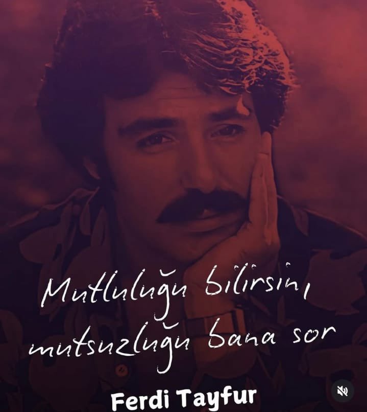 Mutluluğu bilirsin, mutsuzluğu bana sor.

- Ferdi Tayfur