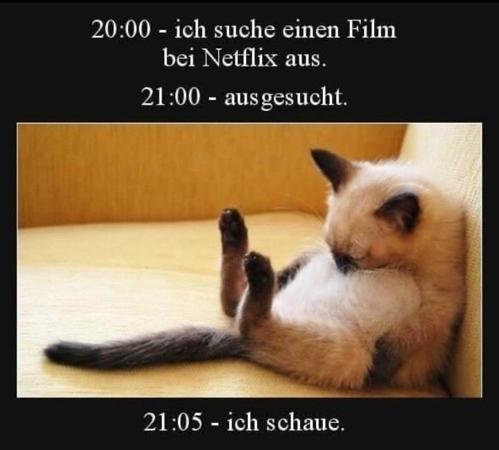 Oder so😹