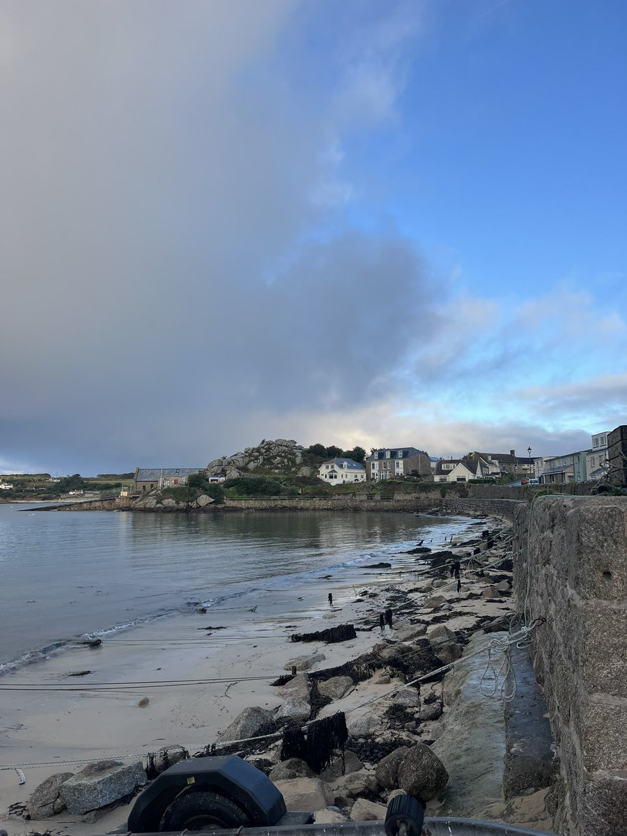 scillygigs's tweet image. Rather pleasant here on Scilly today - cold, but nice to see the sun ☀️ #January2025 #JanuaryVibes