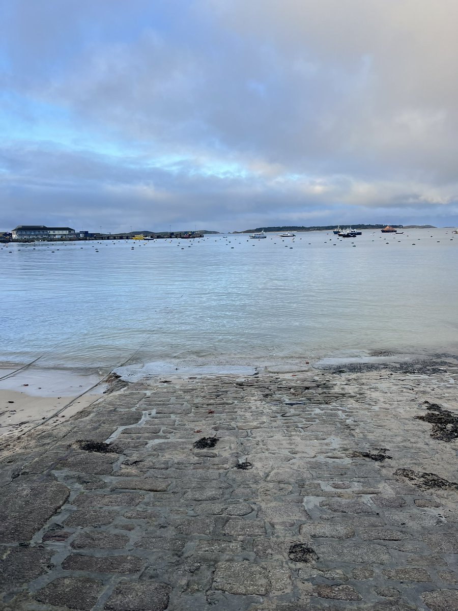 scillygigs's tweet image. Rather pleasant here on Scilly today - cold, but nice to see the sun ☀️ #January2025 #JanuaryVibes