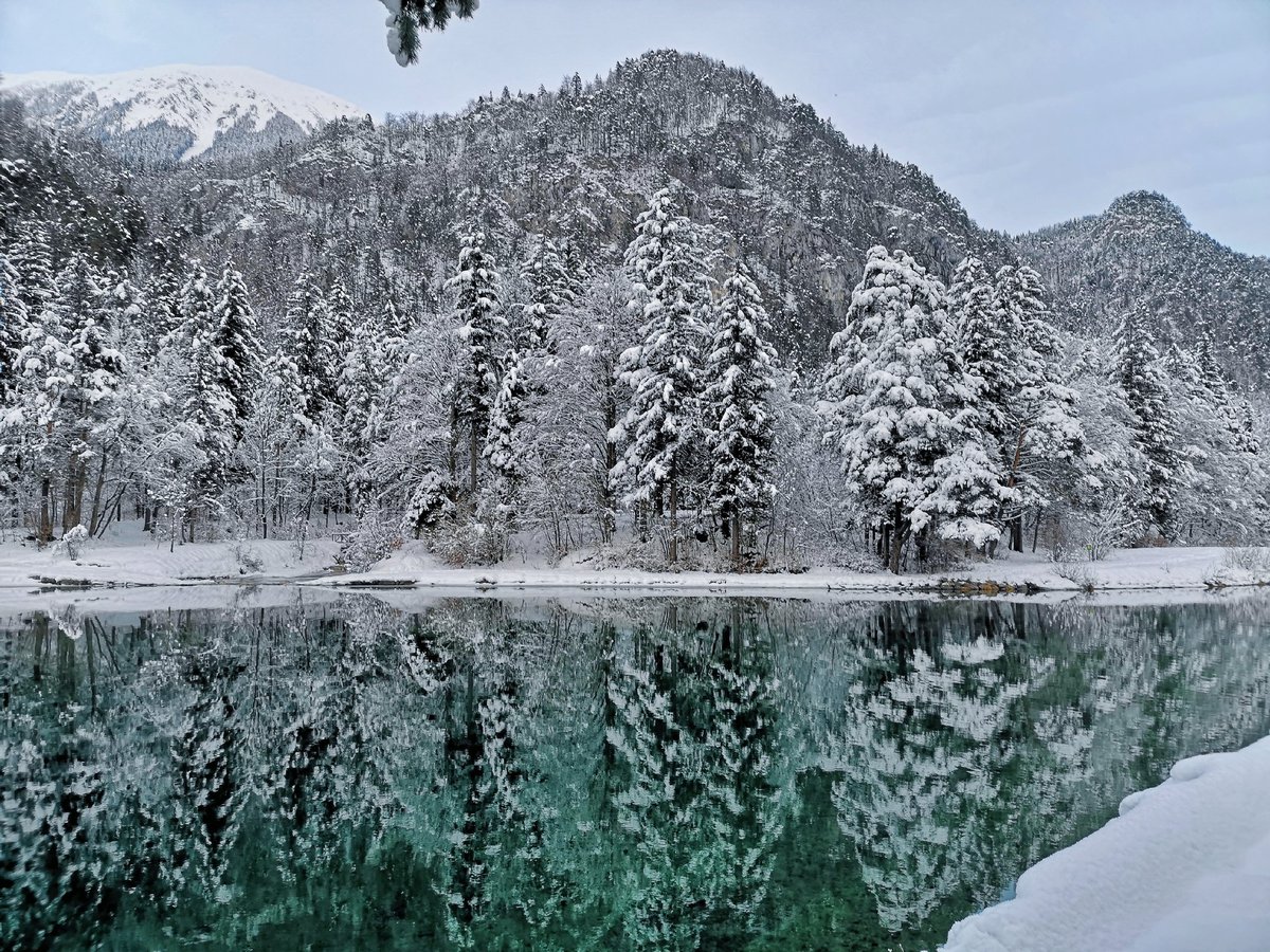 Winter Wonderland ❄️☃️