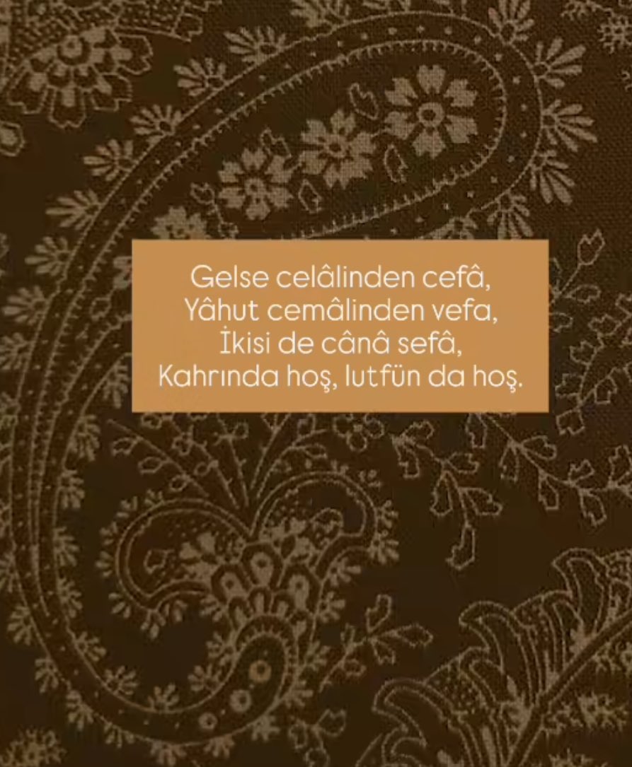 𝔞𝔩𝔟𝔞𝔩𝔦𝔞 (@birmahzunn) on Twitter photo 