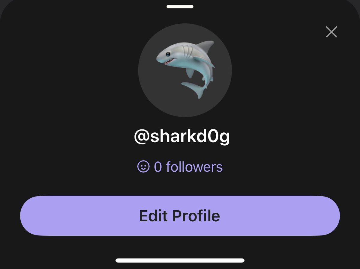 𝐒𝐡𝐚𝐫𝐤ᵈᵒᵍ🦈 tweet media