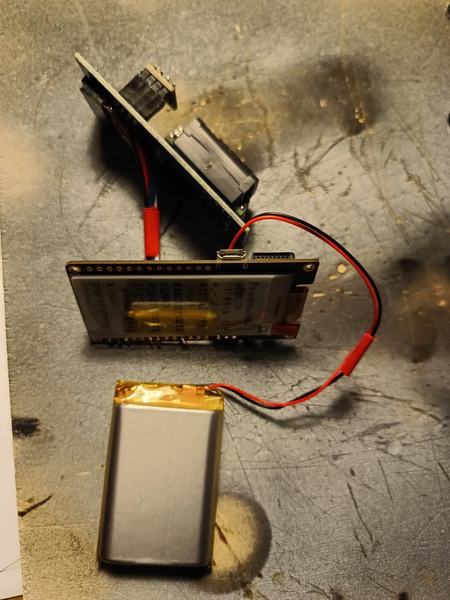 keinhoernchen (fliegt.) tweet media