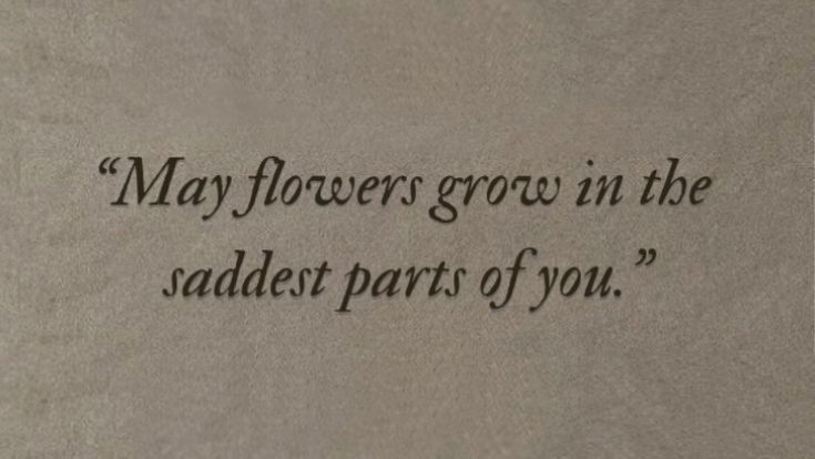 solringen (@wineandsunrise) on Twitter photo 