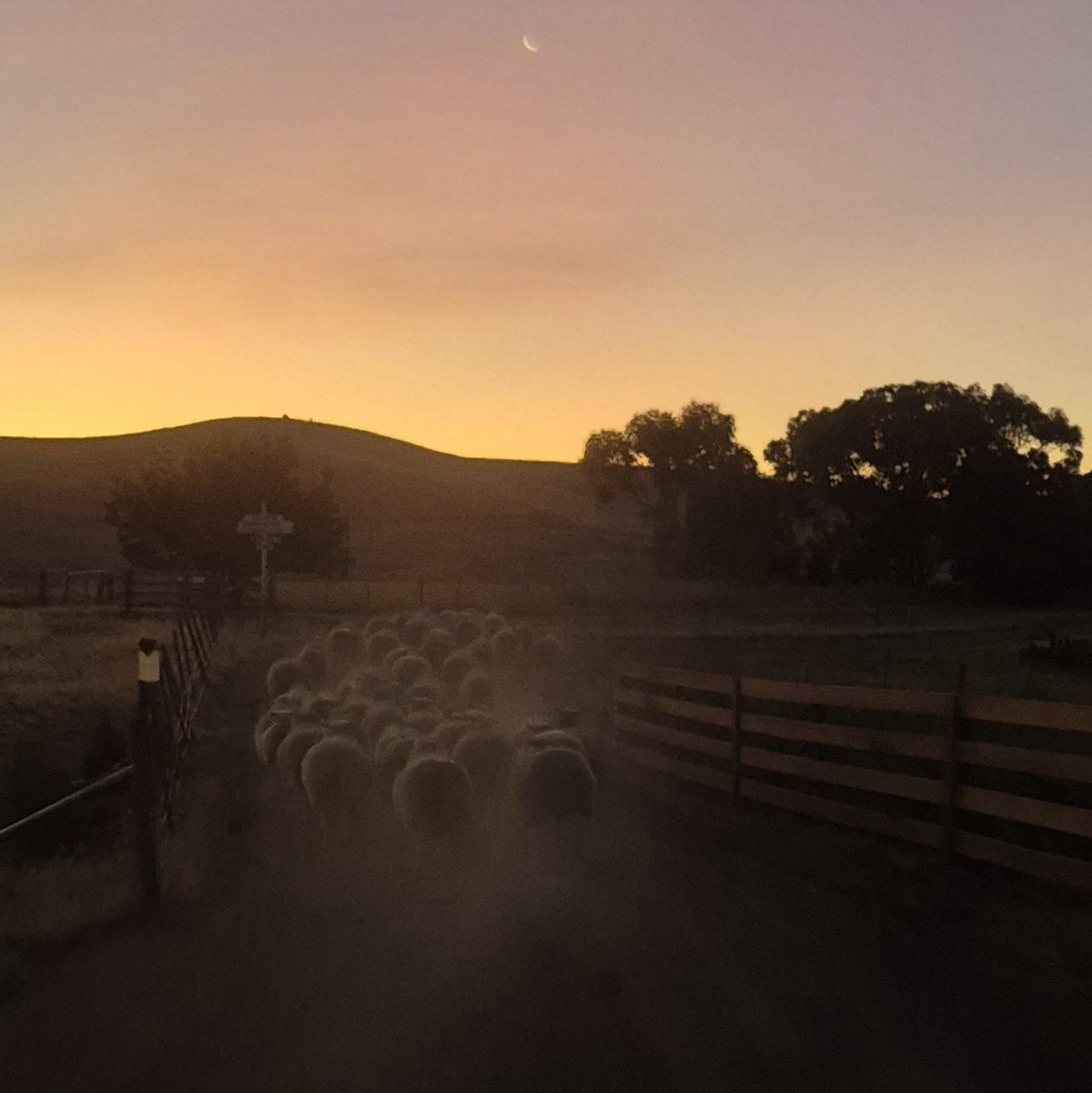 Last light. 
Happy New Year everyone. May 2025 be a beauty.