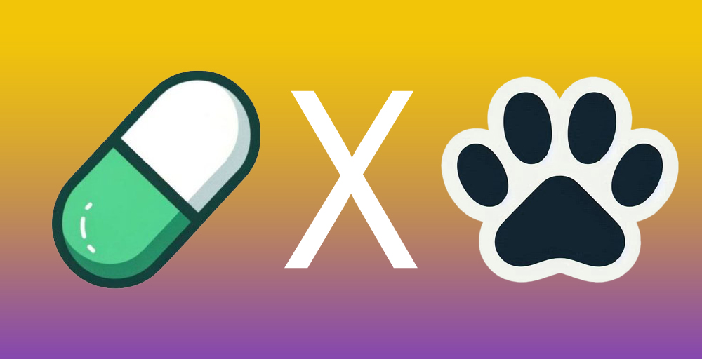 PawsCoin tweet media