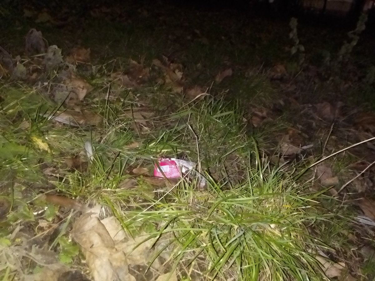 Alexander Litvinow tweet media