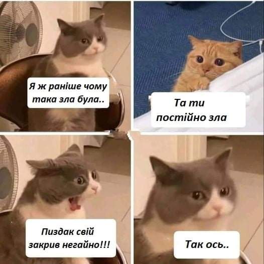 Anny_Norman's tweet photo. @razumoffskaya https://t.co/mLrZY5QqJT