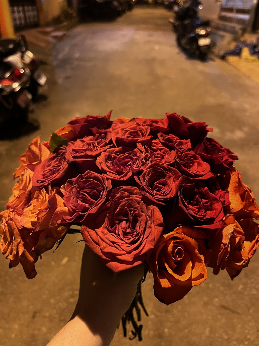 aqsa_6's tweet photo. Every petal tells the story of how a bud blossomed into a flower, pushing through the night and opening in dawn. This is how the petals open, from the grey gloom into a youthful spring.
Jayita Bhattacharjee https://t.co/8bnnFir0jS