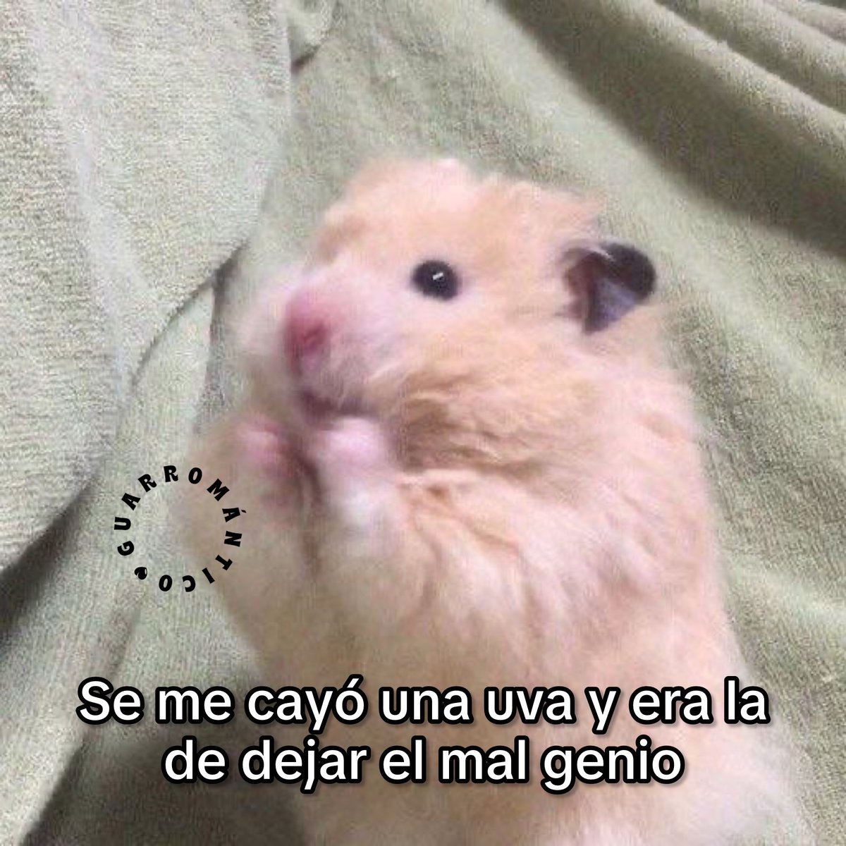 Asies.