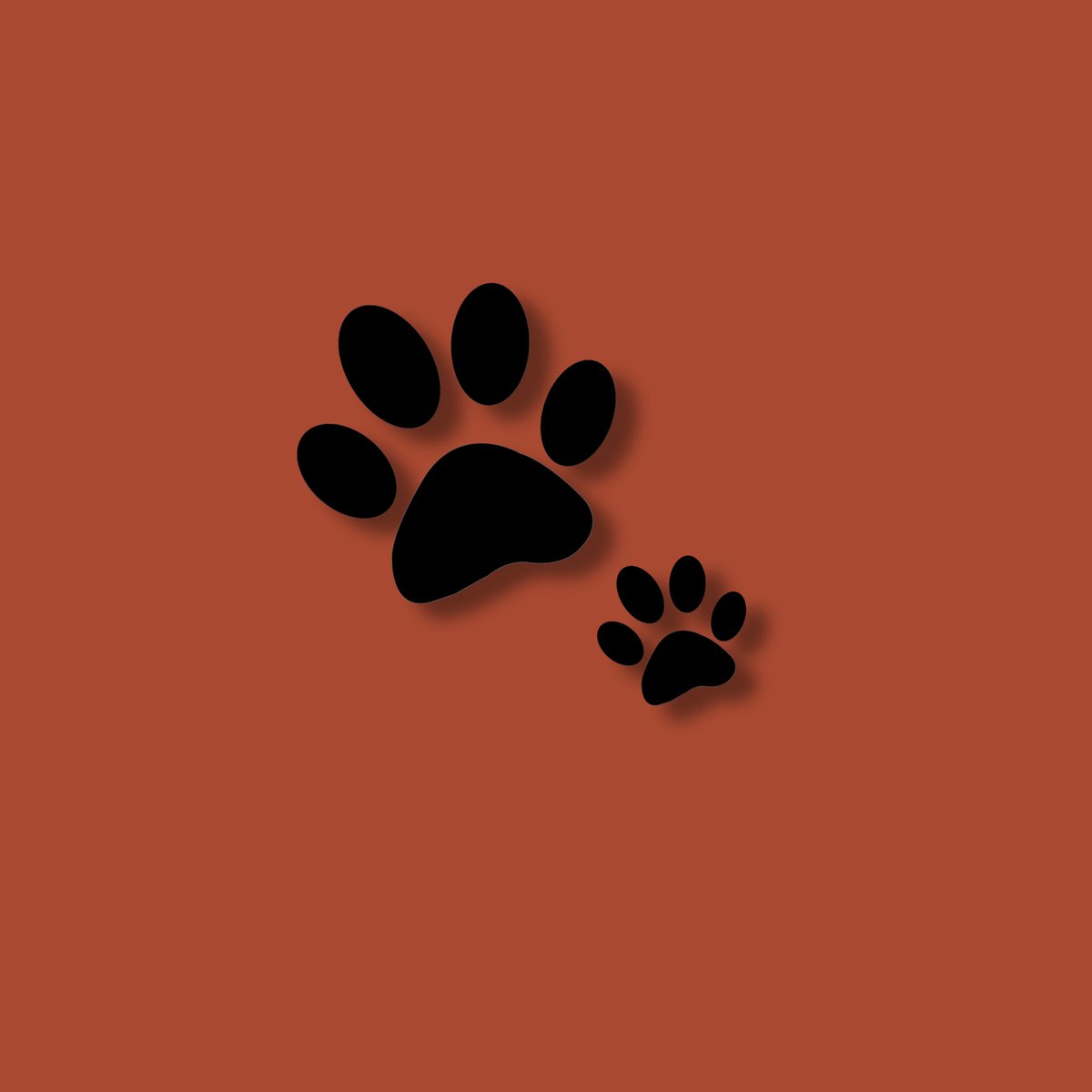 ᅠ ᅠ ᅠ ᅠ ᅠ ᅠ ᅠ ᅠ 𝐓𝐇𝐔𝐍𝐃𝐄𝐑 ᅠ-ᅠ 𝐂𝐀𝐓 ᅠ ᅠ ᅠ🐾 tweet media