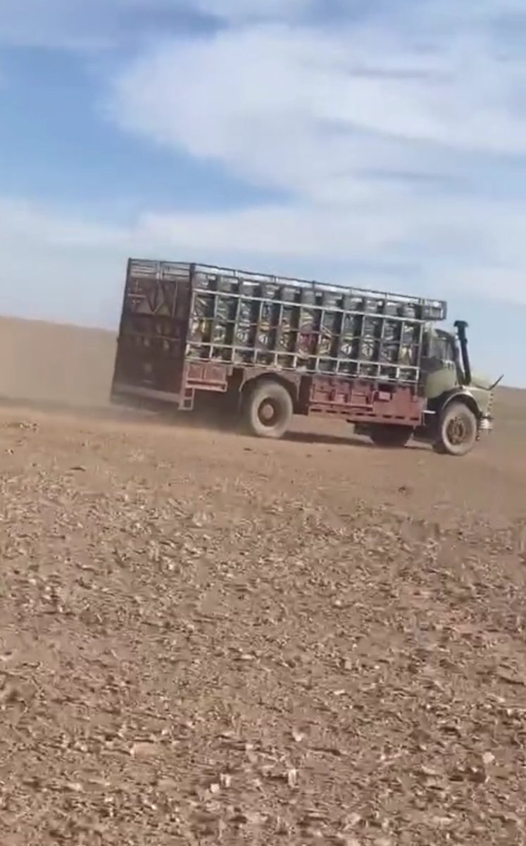 ياعجاجً يثوّع خلف له مور
دونك الصافي وهات العجاجي
في رهدةً بها ندفا تقل طور
ول ياما انعدل فيها مزاجي
لي بها حولها دلهات وسرور
غربن مثل مغراب الخفاجي
منصور حواس