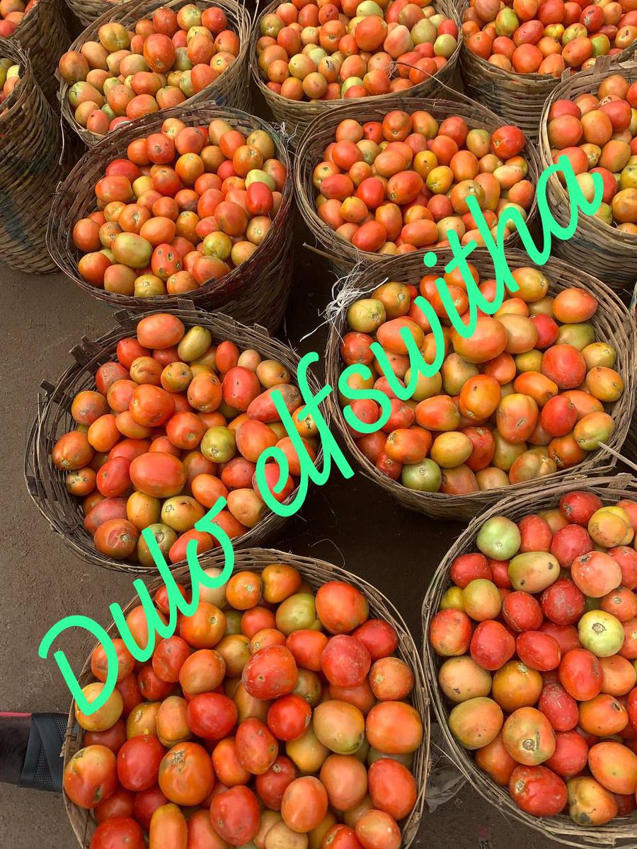 Theduloelfswith's tweet photo. We are a food based agricultural company that is located in plateau state jos and has helped over a 100 clients to Access affordable agricultural products and Livestocks. We have decided to bring our busines to this space and promise to give y’al the best market deals in Nigeria https://t.co/ejDjP2G8YZ