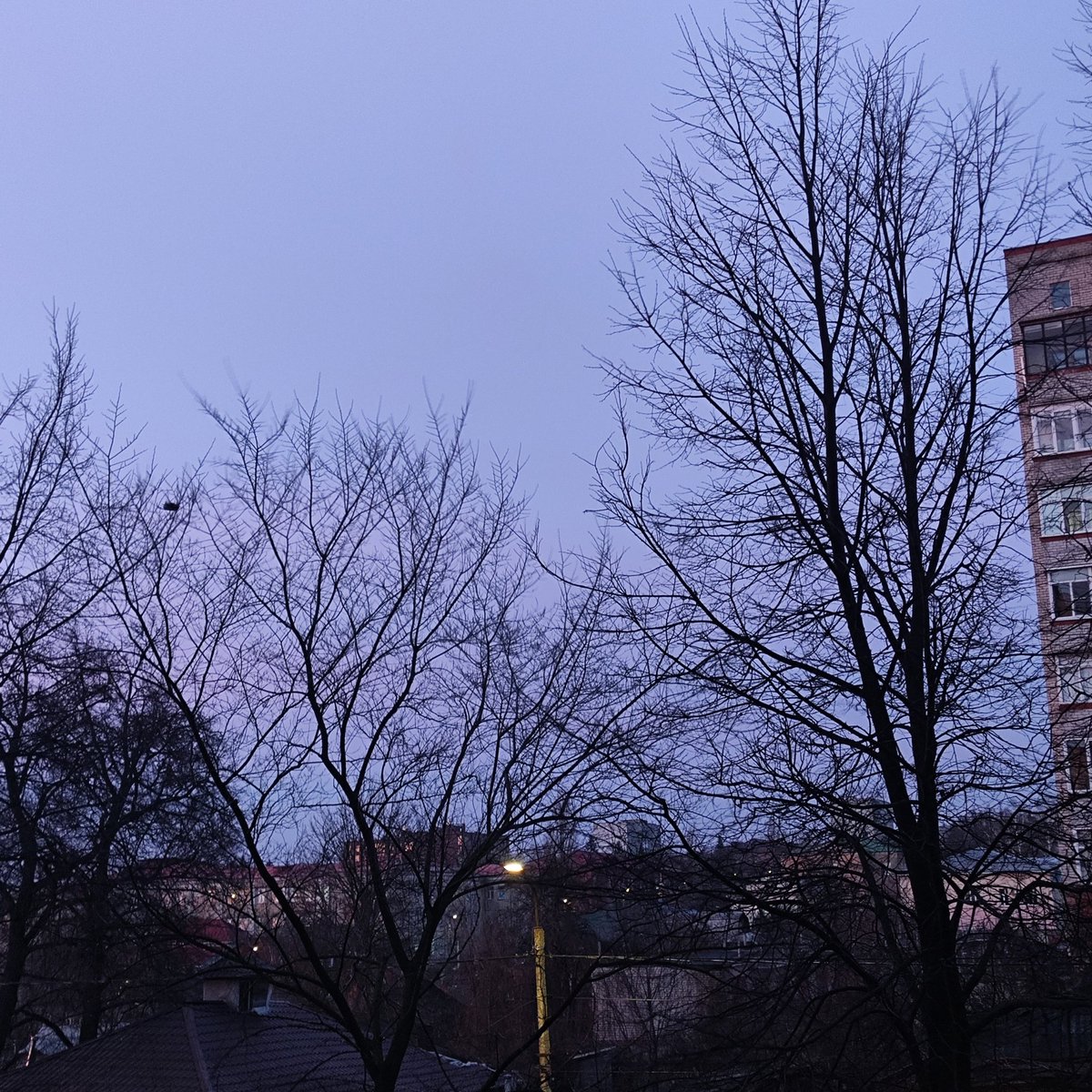 Просто зимний закат