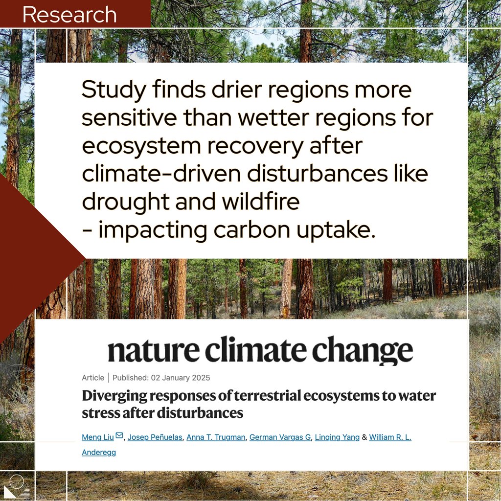 Wilkes Center for Climate Science & Policy (@wilkescenter) on Twitter photo Sensitivity of ecosystem productivity to disturbances differs between regions, with dryland ecosystems becoming more sensitive to water stress after disturbances, according to new research.
nature.com/articles/s4155…
<a href="/uofu_science/">College of Science</a>
@uofubiology Sensitivity of ecosystem productivity to disturbances differs between regions, with dryland ecosystems becoming more sensitive to water stress after disturbances, according to new research.
nature.com/articles/s4155…
<a href="/uofu_science/">College of Science</a>
@uofubiology