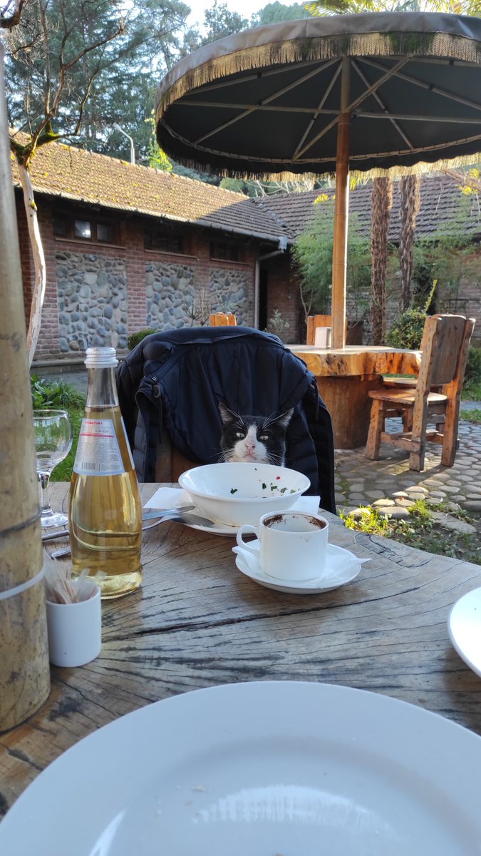 Этот батоно сегодня любезно пригласил нас за свой VIP-столик

*где он сел, там и его VIP-столик, разумеется