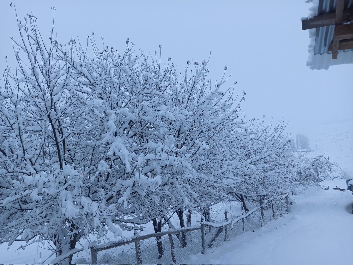Herşey vaktinde güzel...
Olması gereken zamanda,
Olması gereken yerde ,
Olması gerektiği kadar...