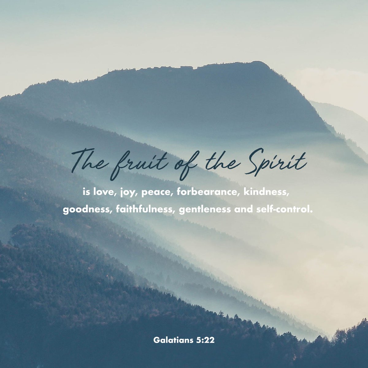 Praying for pastors through the #12daysofChristmas: the Ninth Day represents the fruits of the Spirit. Pray for your pastors that God will blossom the fruit in their lives and in the lives of their congregants.

#prayforpastors #prayingforpastors
