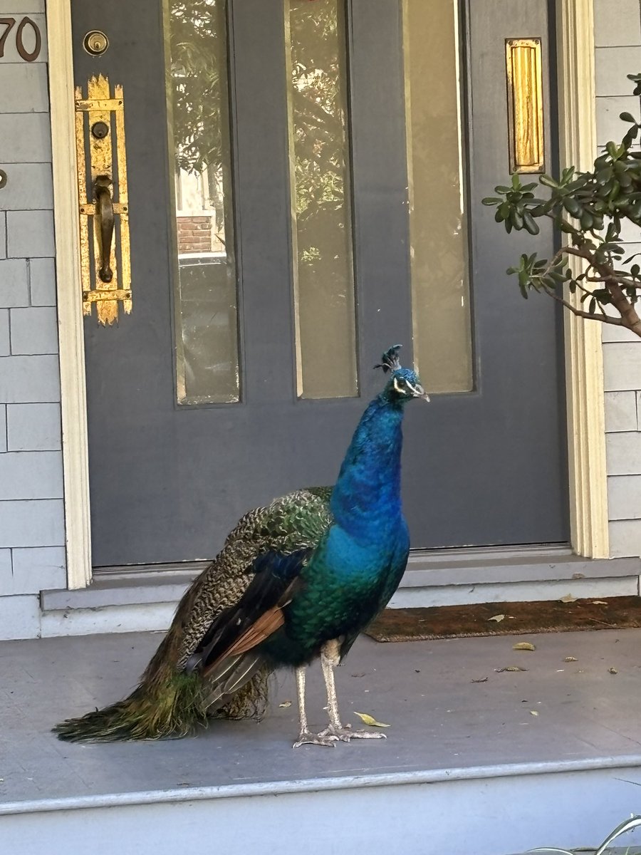 @jodieejack tweet media