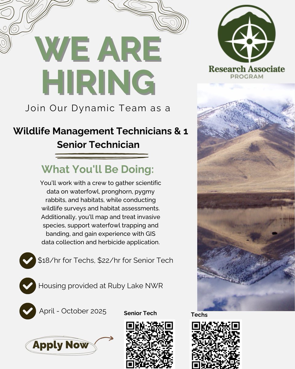 GBInstitute's tweet image. We have many wildlife positions available for Spring! Swipe to see and share with a  friend!  #GBI #Environmentalwork #researchassociate #thegreatbasininstitute #conservation #lovewhereyouwork #applygbi #renonv #jobsinreno #environmentalnonprofit