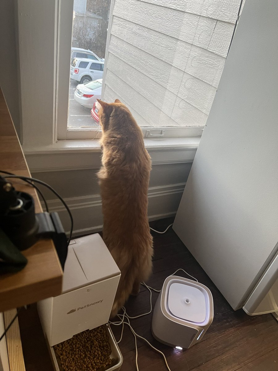 Quinathans's tweet photo. Bro is nosy https://t.co/ugtIVgPecm