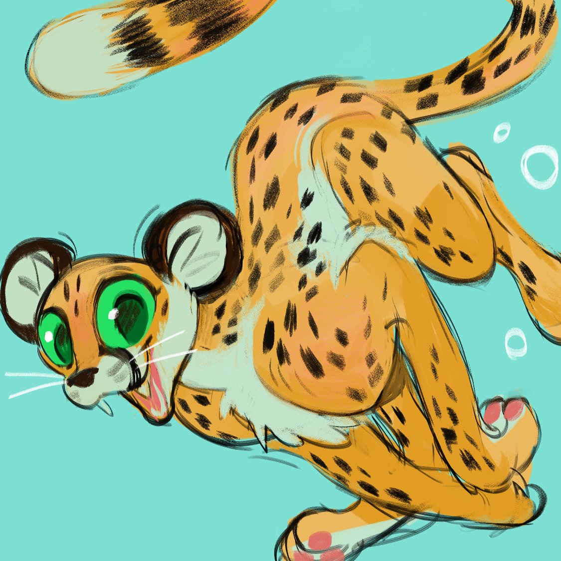 mellowollie's tweet image. happy to be