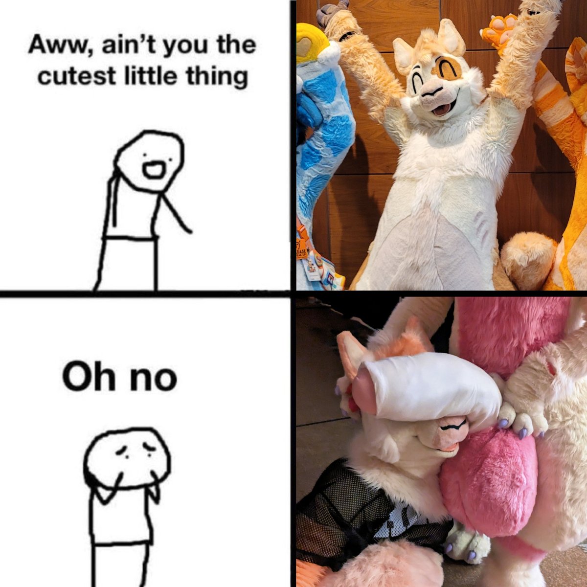 Olli Alpaca🦙 (@ollialpaca) on Twitter photo 