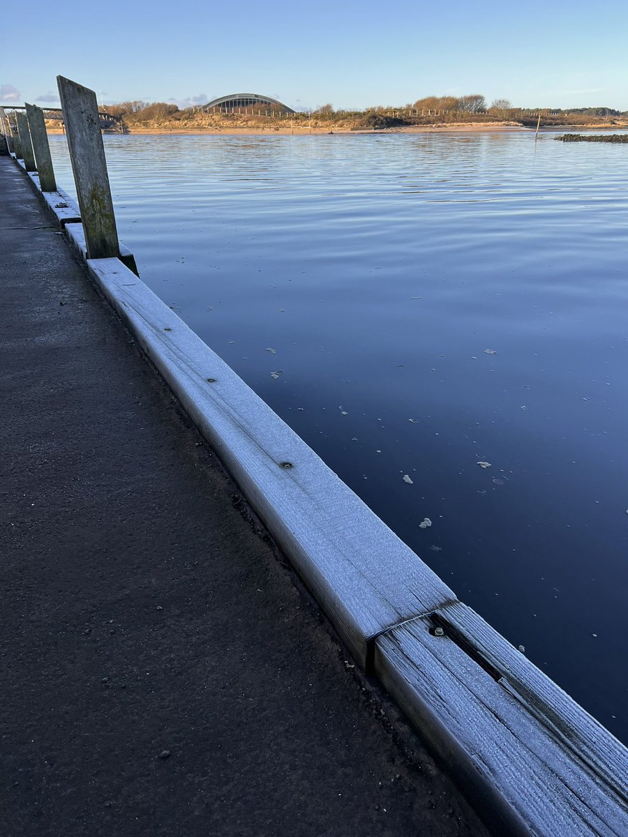 Christina Riley tweet media