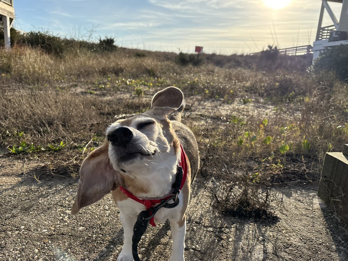 sweeetcyanide's tweet image. Happy New Year