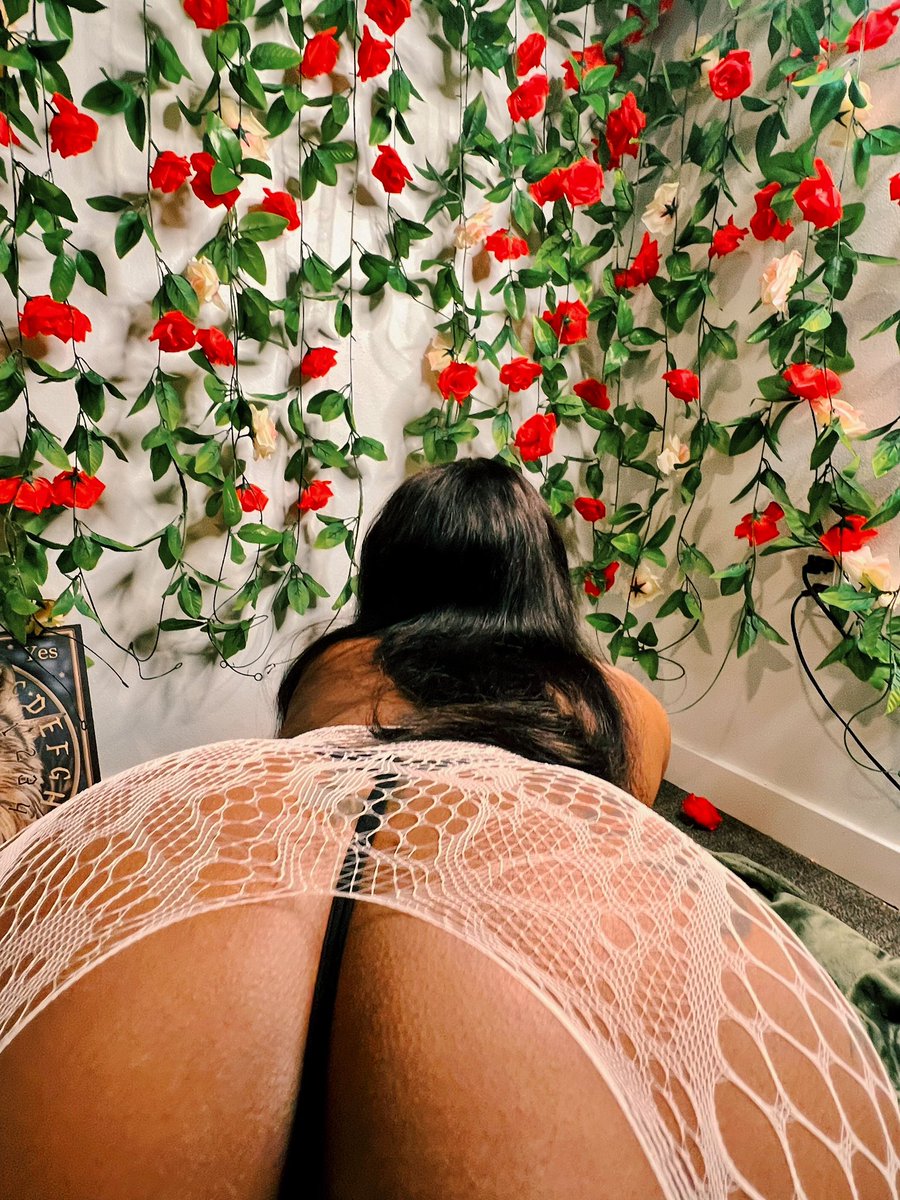 HillaryxFindom's tweet photo. Where are my piggies my sissies my subs? Come to me.
#finsub #hatm #FinDom #mistress #goddess #finwhale #financial domination #domination #submissives https://t.co/vxfuRYUuQH