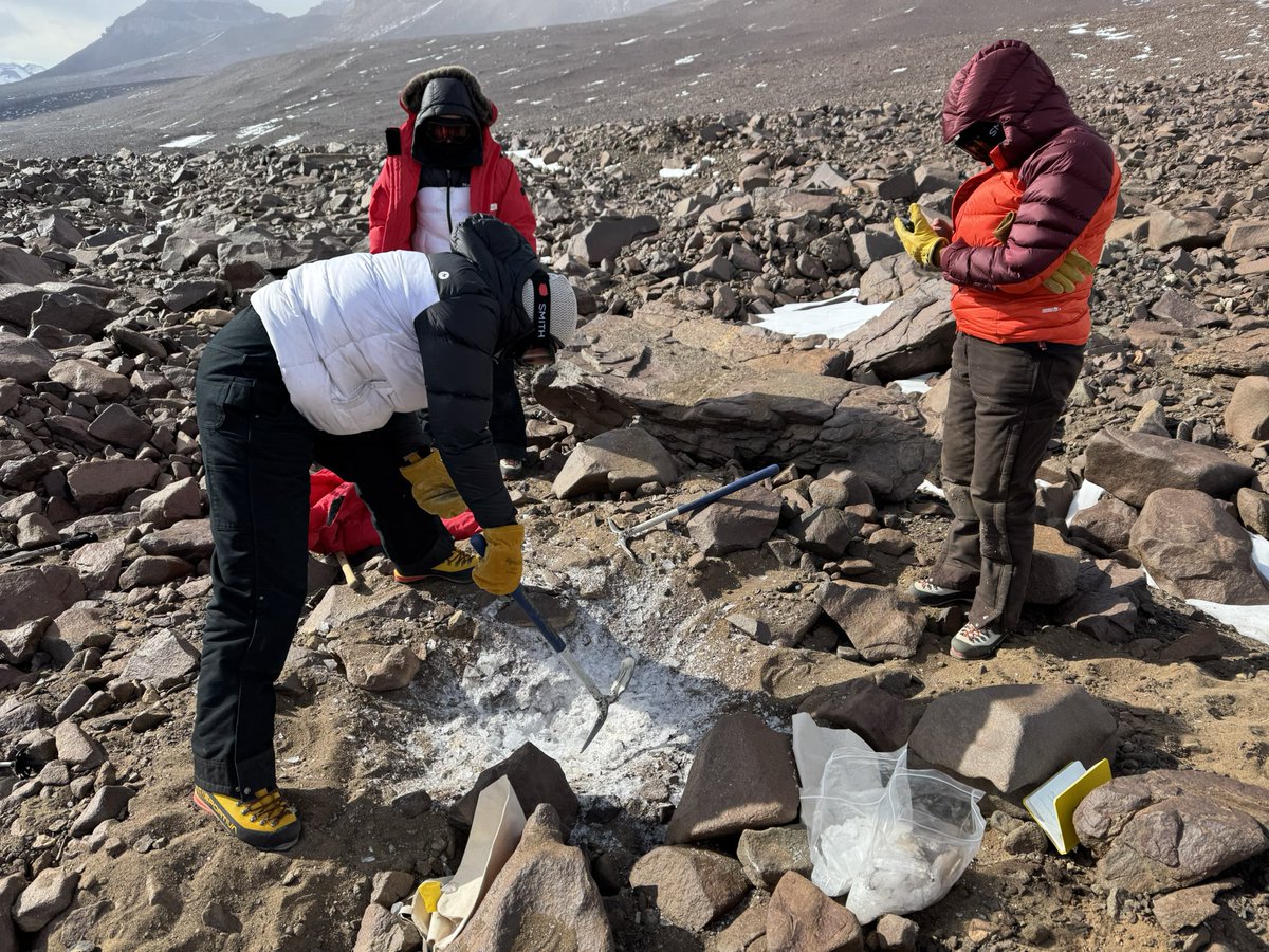 Dan Morgan tweet media