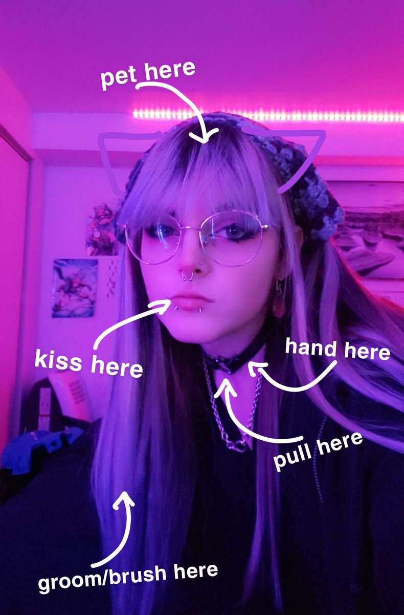 eepylittlecat's tweet image. πΎKITTEN UP FOR ADOPTION πΎ
Young female, domestic long hair, very social, loves being pet, gets along with other pets very well, (directions below)