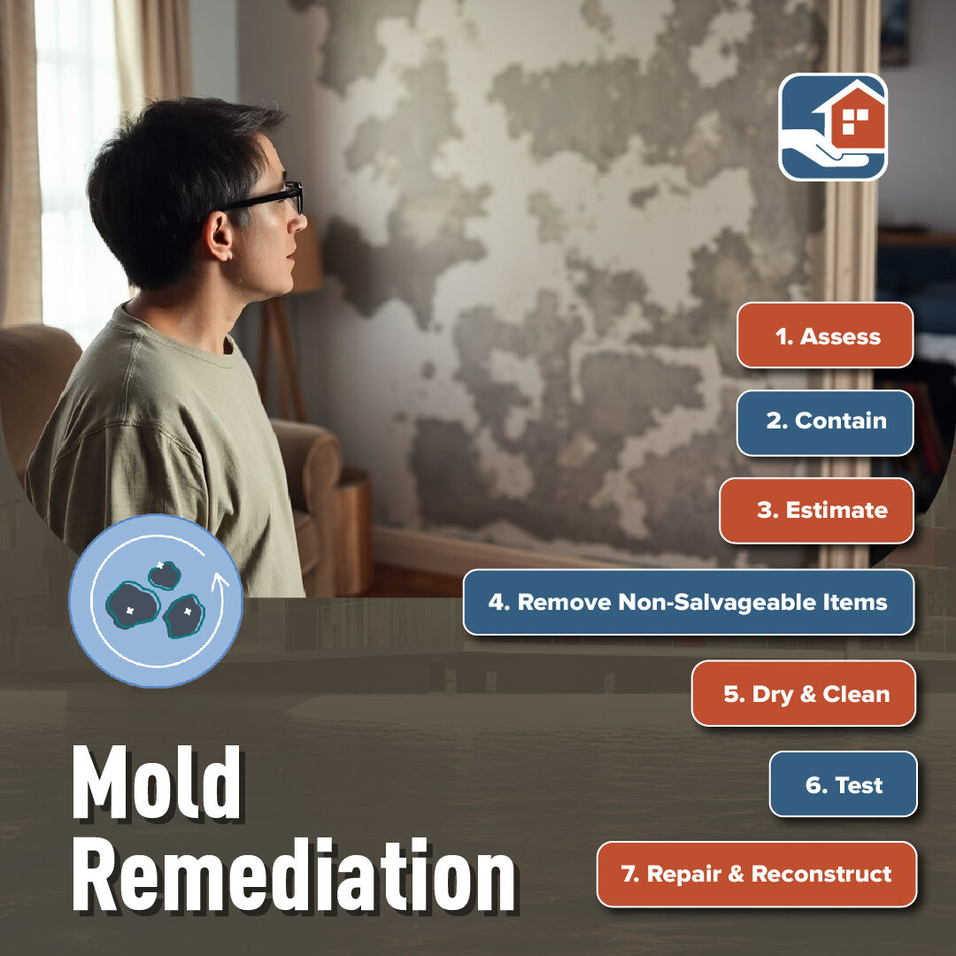 C_RestorationSD's tweet photo. 🧫 Don't Let Mold Take Over Your Home ��!
Mold growth can be a serious problem, causing health issues and structural damage. ️Don't wait to address mold issues and contact us today for a free consultation.
#moldremoval #moldremediation #CertifiedRestoration https://t.co/6cwi5SefoO