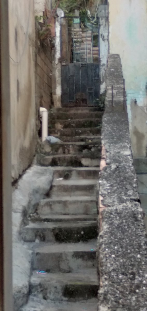 ChaneGarcia's tweet photo. ... entre el cascajo y los derruidos destrozos de la inexorable entropía. Belleza de las ruinas, vestigios de algo que era nuevo y ahora no es... [2/2]

#ProsaPoética https://t.co/sgnihzNXT0