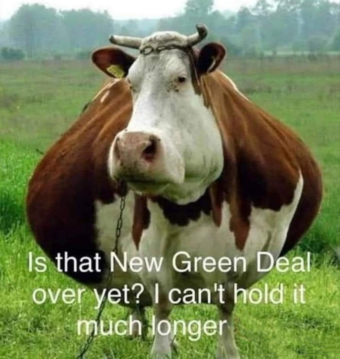 😂