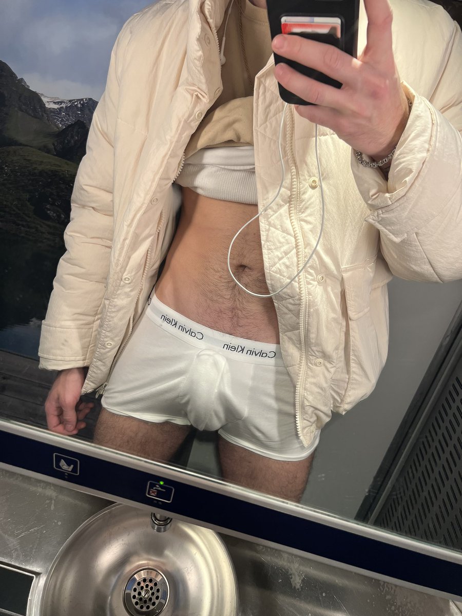 Der Zug Typ der im ICE wixxt ist wieder Back 2025