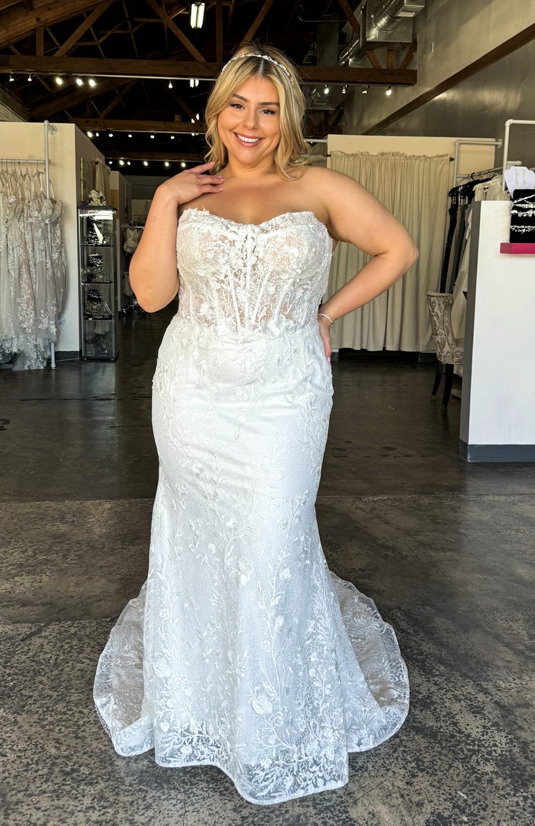 strutbridal's tweet image. 💖 PLUS-SIZE BRIDES 💖 Which one of these stunning exclusive wedding gowns are YOU saying YES to? 👰✨ Is it 1️⃣, 2️⃣, 3️⃣, or 4️⃣? Let us know your favorite in the comments below—we love hearing what speaks to YOU!#curvybride #plussizebridetobe #celebratingcurves #curvyweddingstyle