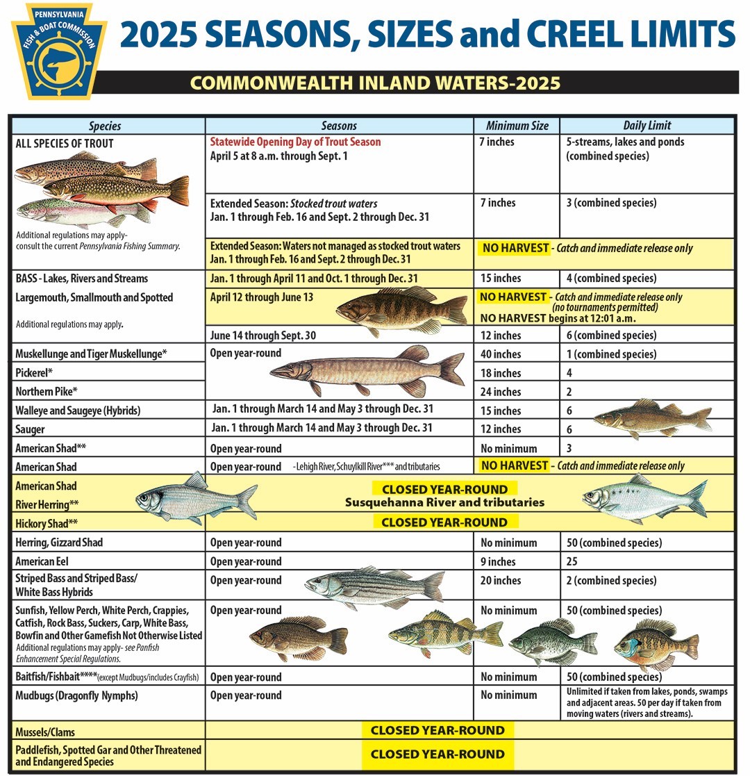 pafishandboat's tweet image. Start planning your next fishing adventure! Check the 2025 seasons, sizes, and creel limits, and daydream of warm days by the water. 🎣 Learn more about regulations: ow.ly/eXXO50UvUo5 

#PAFishandBoat #FishPA #Fishing #Creel #Angler