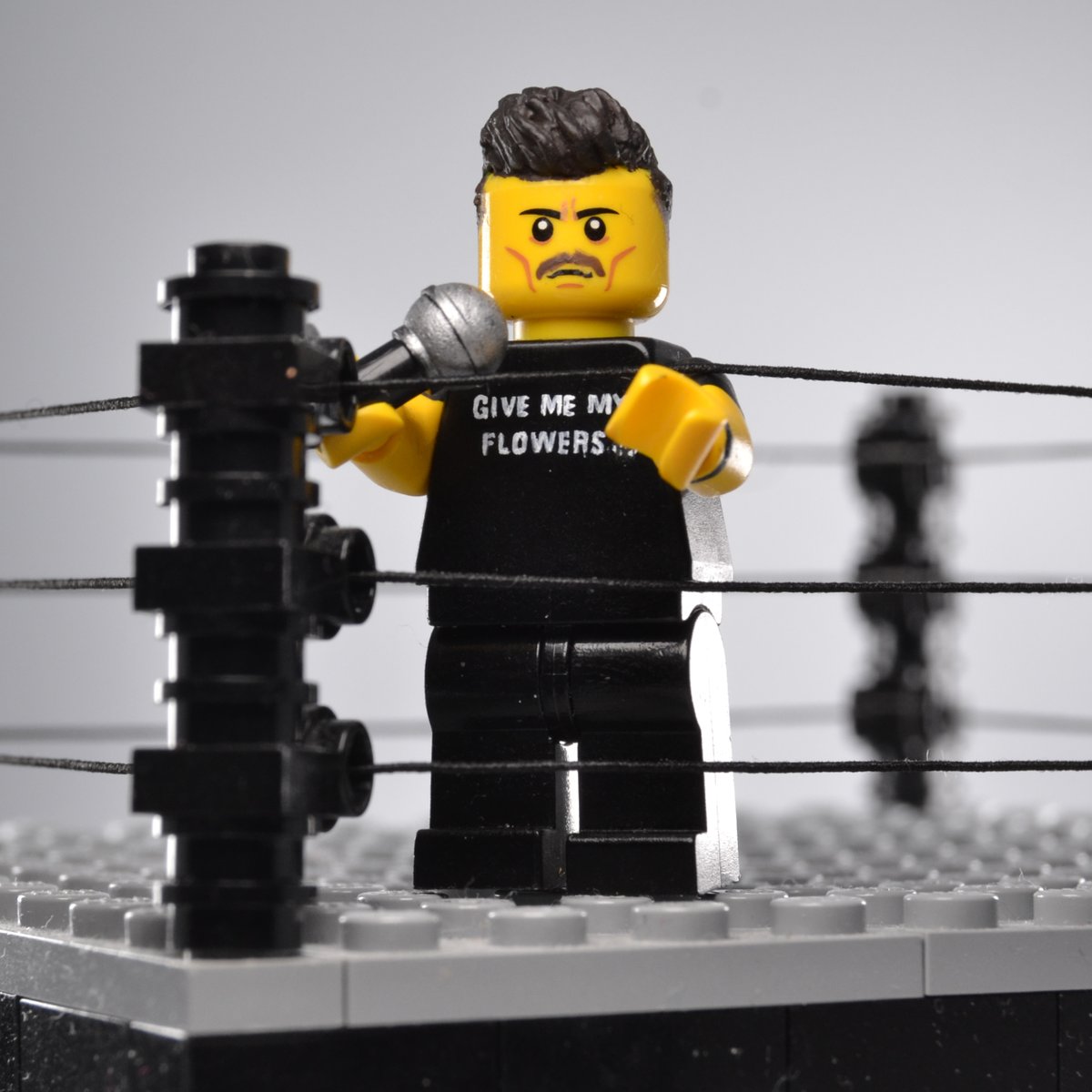 assui88's tweet image. "Parrow, that's your fucking husband!!" 
#GCW #GCWInfinity #Lego