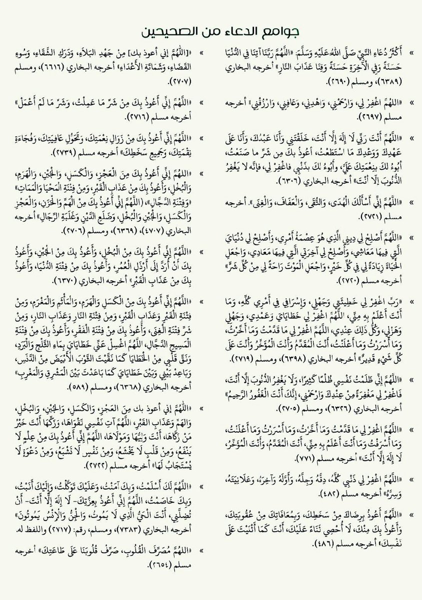 منبه الحوقلة tweet media