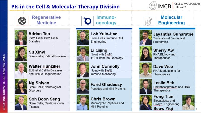Drainteo's tweet photo. Our PIs in the Cell and Molecular Therapy (CMT) Division, IMCB, A*STAR.
We look forward to partner with academics and industry to solve the most pressing biological problems in CGT.
Do feel free to drop us a note to chat!
#CMTDivision #IMCB #ASTAR #celltherapy #RNA #protein https://t.co/bugk7LeKKw