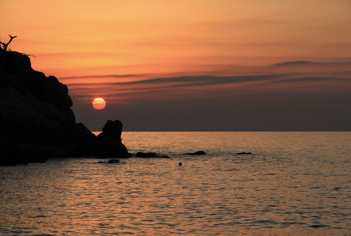 淡路島と入力しようとしたら、なぜか手が勝手に「じんご」と打ってた😳それも神戸って漢字で書くらしい✨もしかして…
🔮無意識が何か伝えようとしてる？
🗺️行くべき場所のサイン？スピリチュアルな意味があるのかな〜🤔
みんなはこういう不思議な経験ありますか？