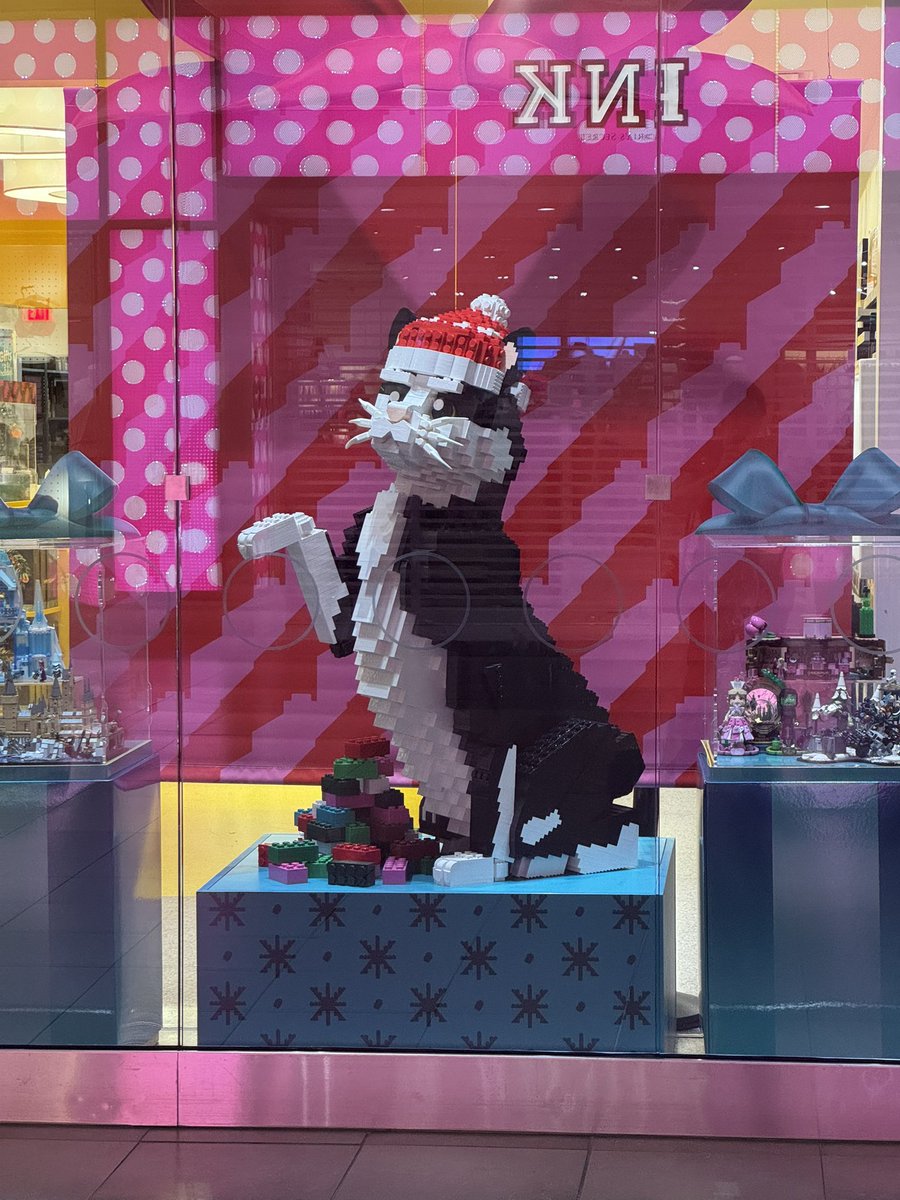 amber_gray8's tweet photo. @carlyincontro pictured you attempting this giant lego cat and it made me cackle https://t.co/eduVUk6QB6