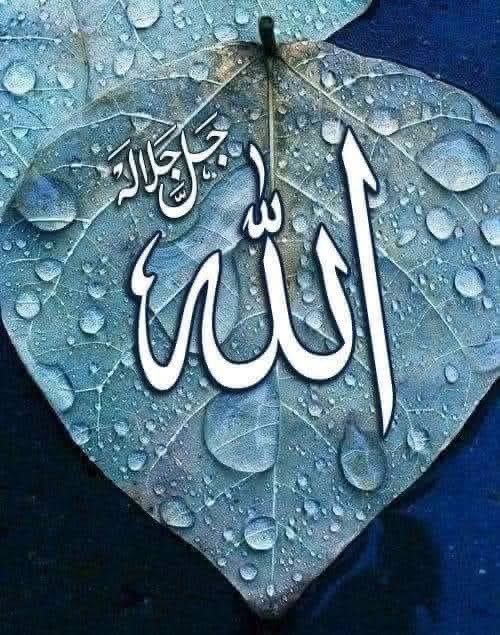 🌿﷽ 🌿

   ﺍﻟﺴَّـــﻼَﻡُ ﻋَﻠَﻴــْﻜُﻢ ﻭَﺭَﺣْﻤَﺔُ ﺍﻟﻠﻪِ ﻭَﺑَﺮَﻛـَـﺎﺗُﻪ

اے اللہ ہمیں اپنے اجر سے بے حساب عطا فرما اور اپنی بخشش سے نہ ختم ہونے والی معافی عطا فرما۔
آمین ثم آمین یا رب العالمین

⚘⚘⚘⚘꧁❤️🌷❤️꧂⚘⚘⚘⚘🌹