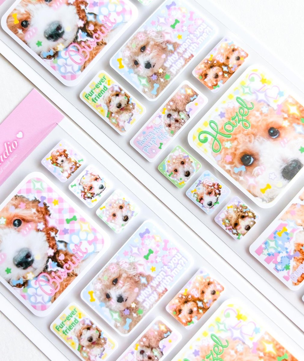 borahstudio's tweet photo. Of course I had to make another 🫣💖 Say hello to Biscuit and Hazel in sticker form! They’re full of personality, and now they can brighten up your journals! #cockapoo #doglover #decosticker #stationeryartist https://t.co/XaUx2uFZ4h