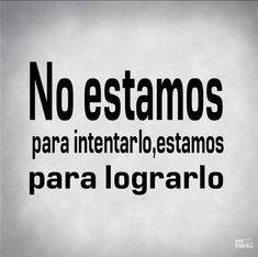 Alejandra SAT DRUBE (@i_drube) on Twitter photo 