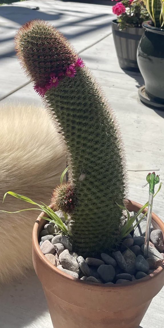 In today’s episode of #everythingremindsmeofShads 😭 <a href="/shadows_eth/">Shadows</a>